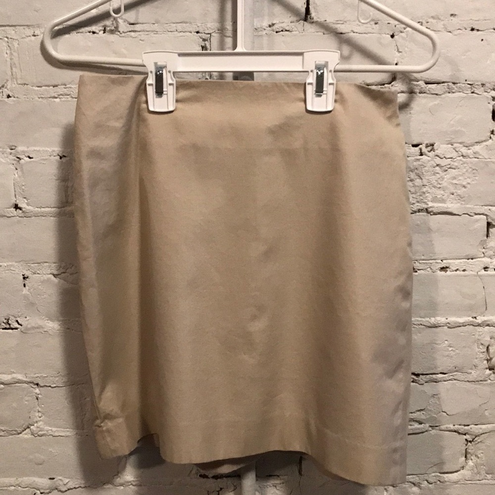 ☃️ 4/$20 Ann Taylor Petite Skirt